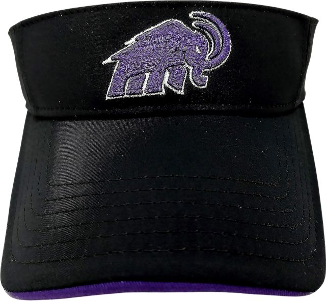 Amherst College Visor