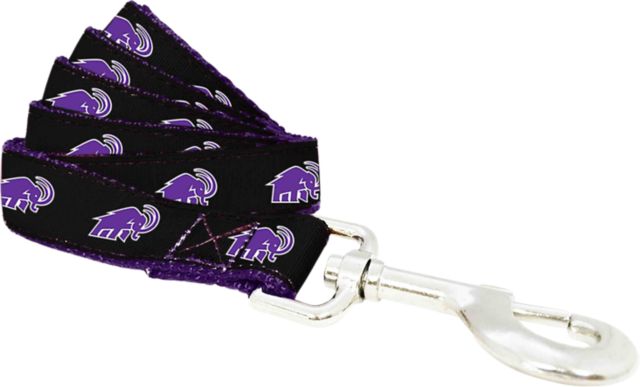 Amherst College 6 FT Dog Leash