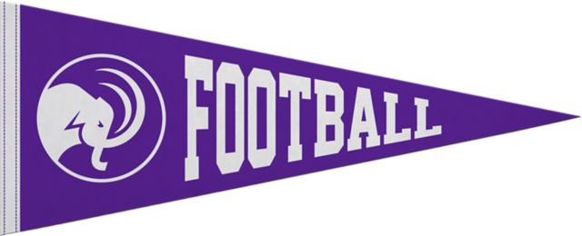 Amherst College 12x30 Mammoths Football Pennant