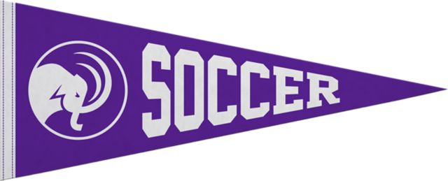 Amherst College Mammoths Soccer 12x30 Pennant