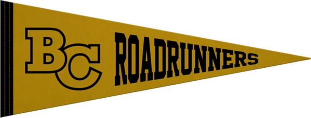 Butte College 9"X24" Full Color Pennant