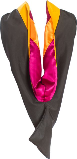 VT Custom Master Hood