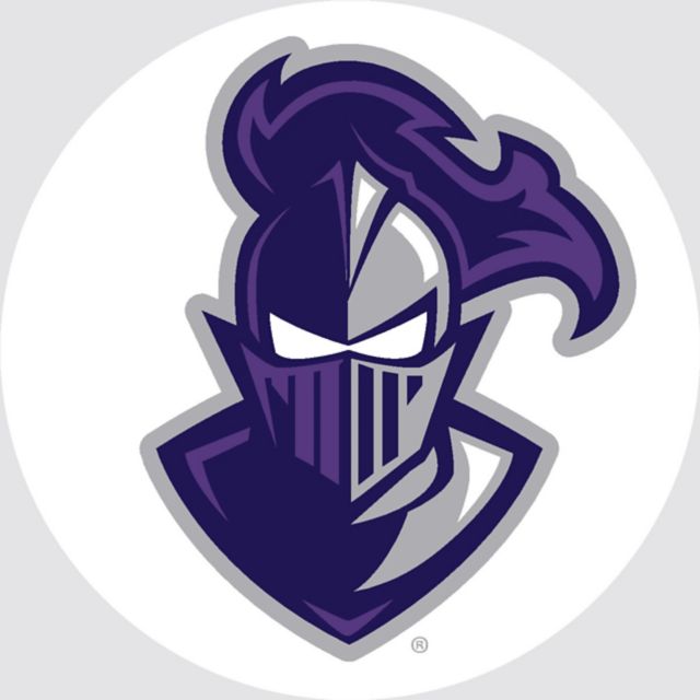Furman University Paladins 3'' Button