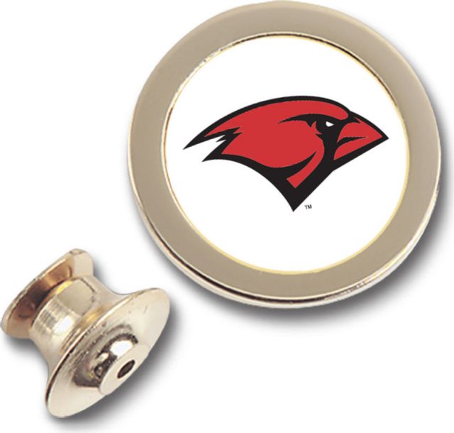 CSI Gold Lapel Pin With Colored Medallian - ONLINE ONLY