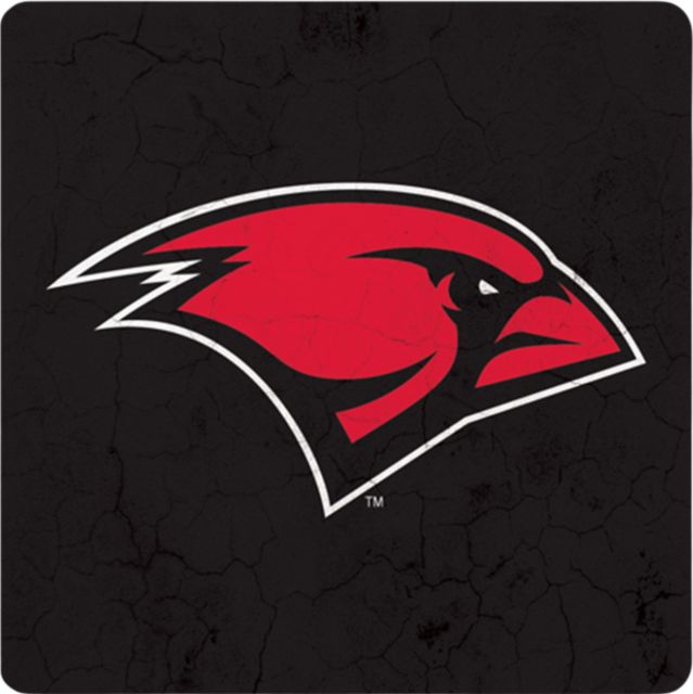 University of the Incarnate Word Cardinals 4'' x 4'' Coaster