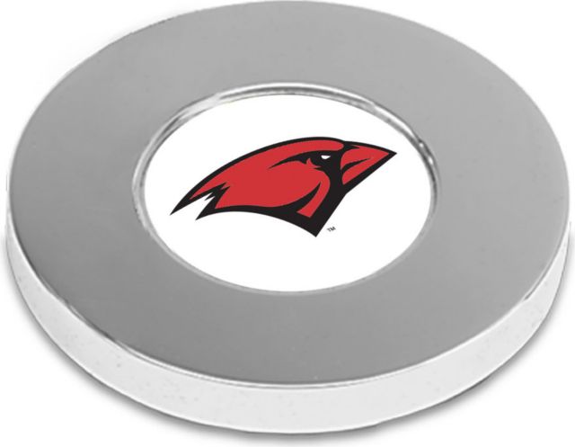 CSI Silver Paperwitheight (Gift Boxed) With Colored Medallion - ONLINE ONLY