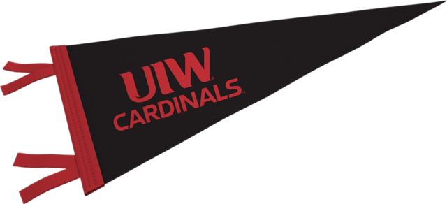 University of the Incarnate Word 12'' x 30'' Pennant