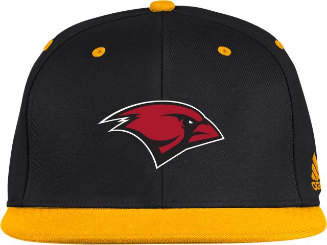 University of the Incarnate Word On Field Fitted Cap