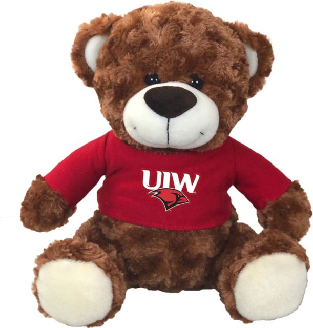 Dark Brown Bear