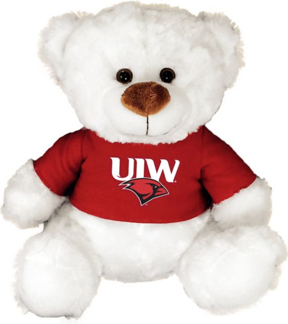 University of the Incarnate Word 10 in. Plush Bear