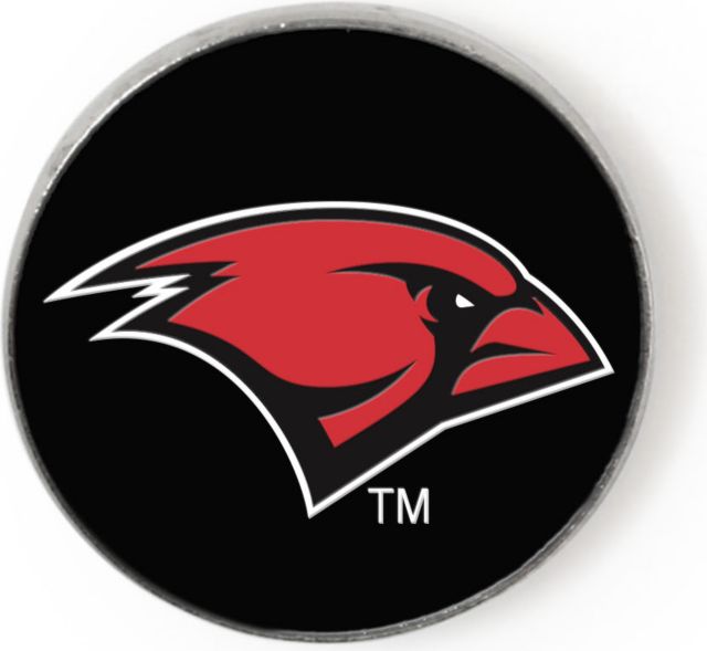 University of the Incarnate Word Cardinals 3/4" Lapel Pin