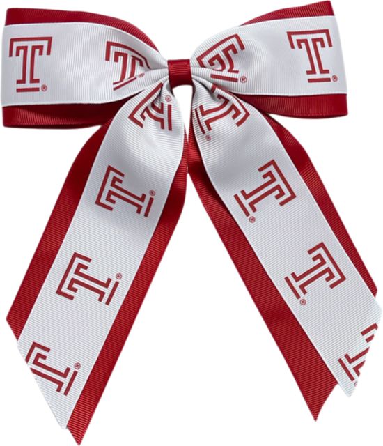 Temple University Child Cheer Pony