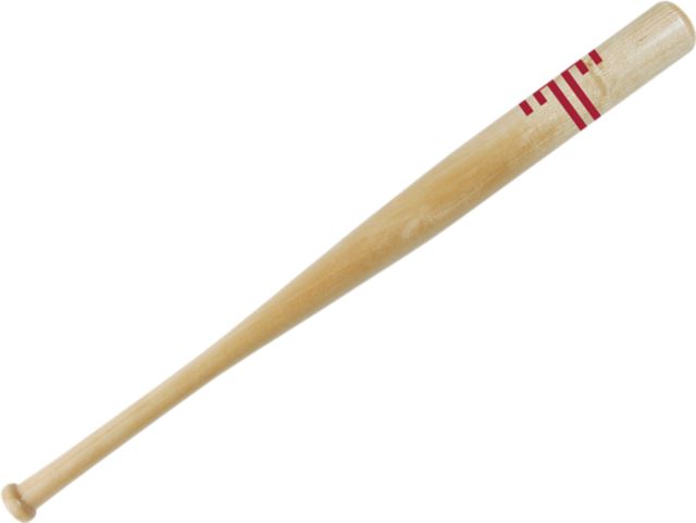 Temple University 18" Mini Bat