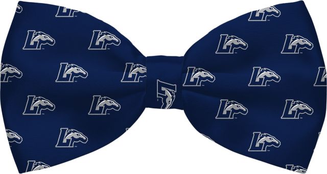 Longwood University Lancers Silk Bowtie