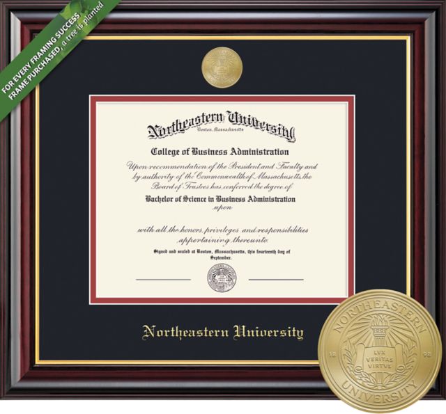 Northeastern University 11'' x 14'' Windsor Diploma Frame