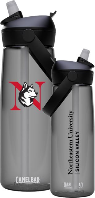 Northeastern University Silicon Valley Eddy Titan Bottle