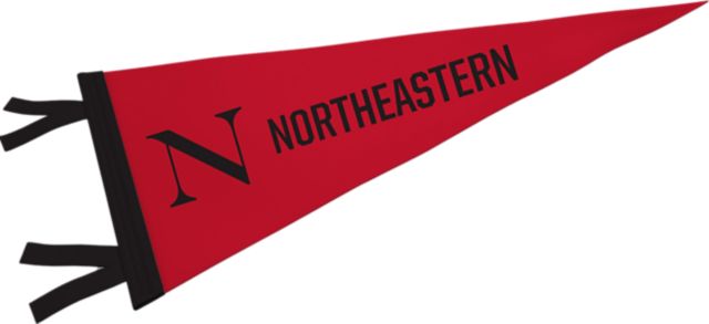Northeastern University Huskies 12'' x 30'' Pennant