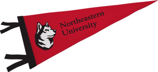 Northeastern University Huskies 12'' x 30'' Pennant
