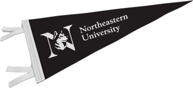 Northeastern University 9'' x 24'' Pennant