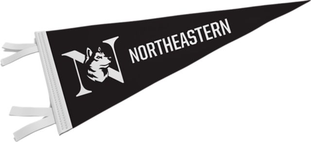 Northeastern University 6'' x 15'' Pennant