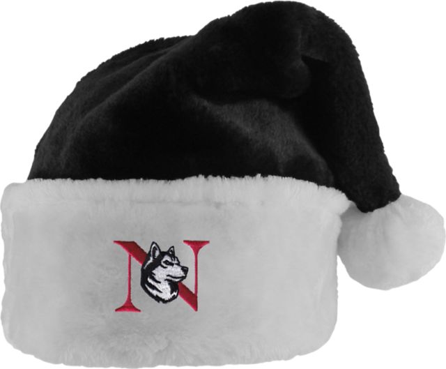 Northeastern University Santa Hat