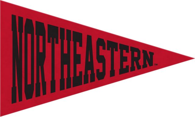 Northeastern University Mini Magnet Pennant