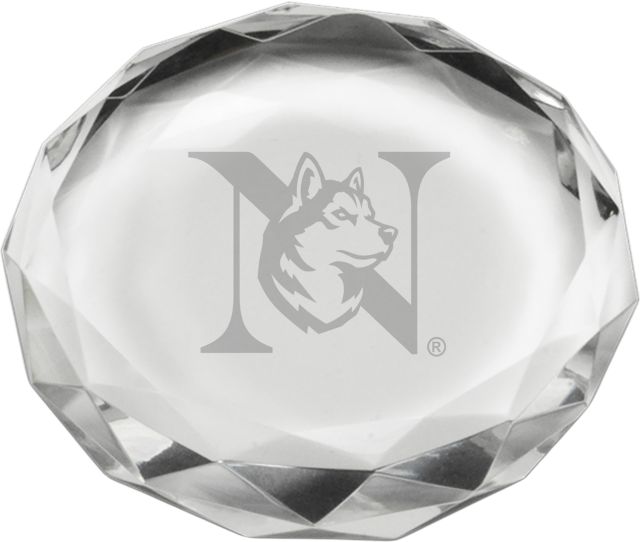 Northeastern University Paper Weight