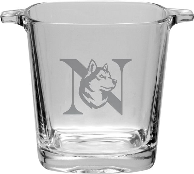 Northeastern University Ice Bucket