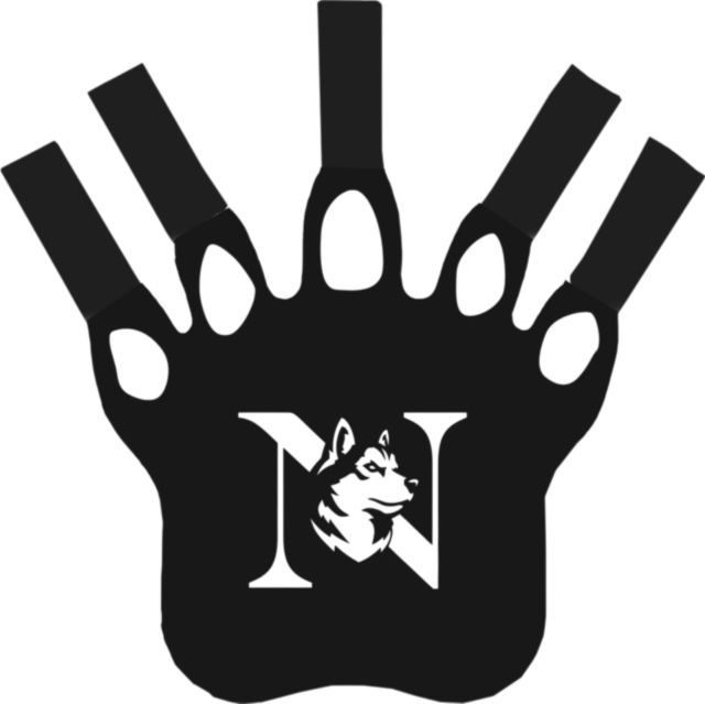 Northeastern University Foam Bear Paw