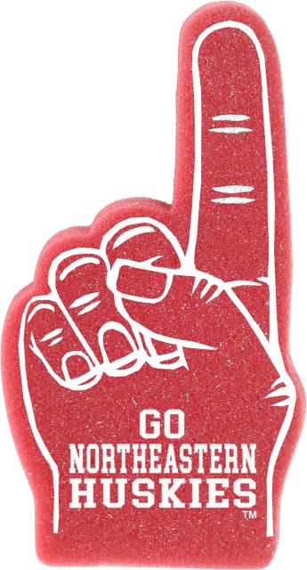 Northeastern University Huskies Mini Foam Hand