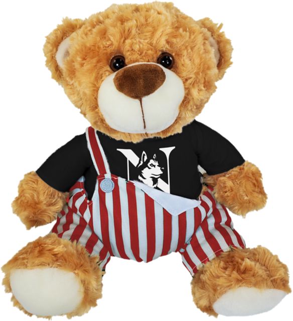 Northeastern University 10'' Game Day Bear
