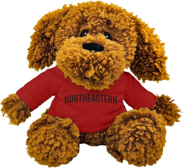 Northeastern University 10" Plush
