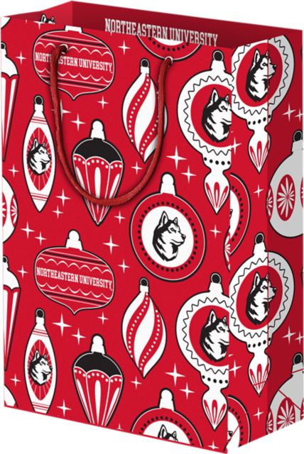 Northeastern University Gift Bag