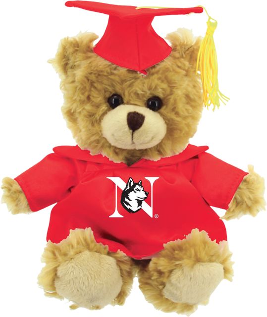 Northeastern University 10'' Graduation Bear