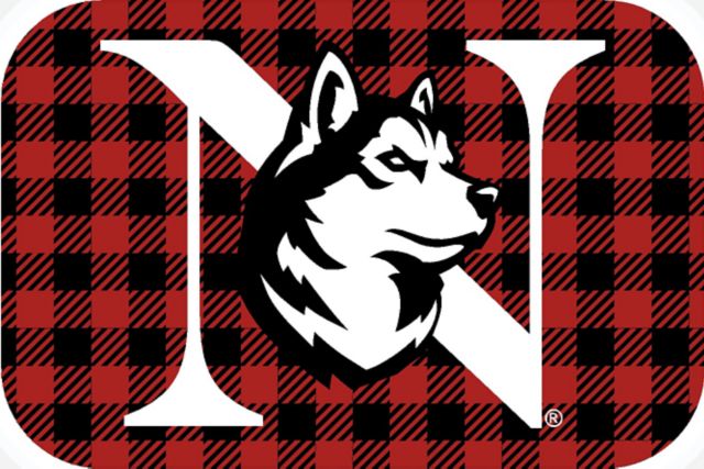 Northeastern University Mini Magnet