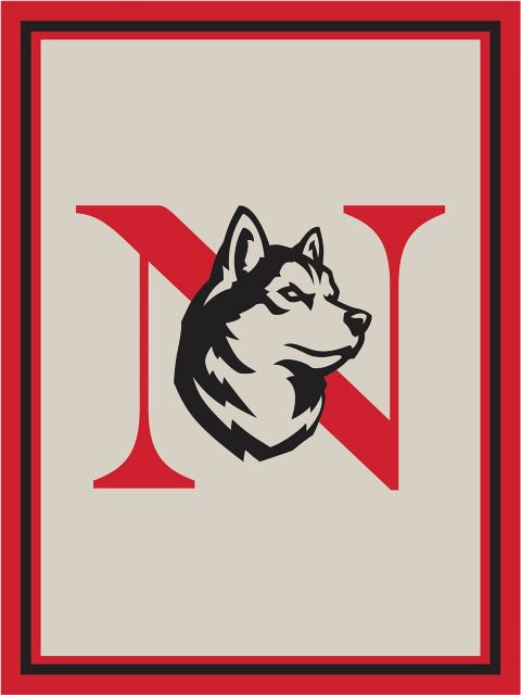 Northeastern University Afghan Throw