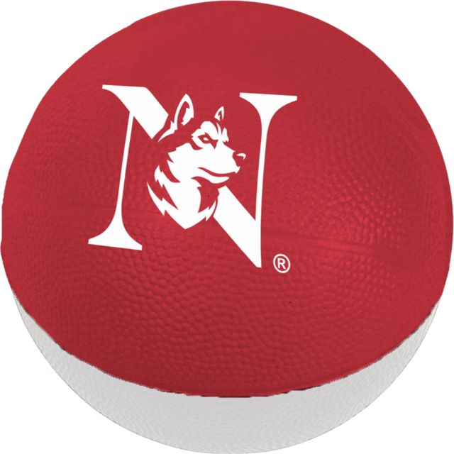 Northeastern University 6'' Foam Basketball