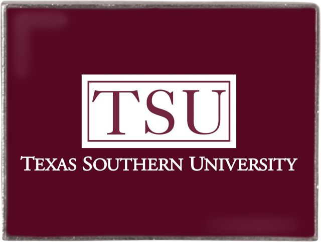 Foxboro Rectangular Lapel Pin