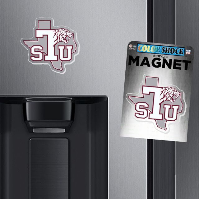 Texas Southern University Magnet
