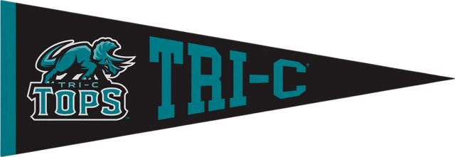 Cuyahoga Community College Triceratops 5 x15'' Pennant