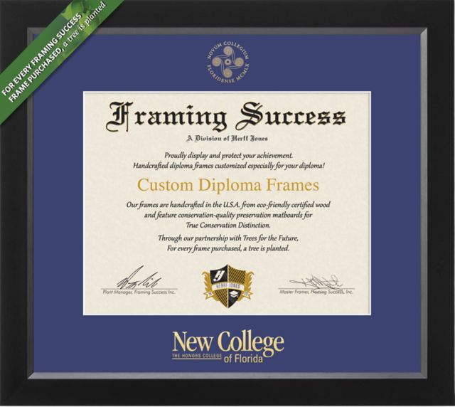 Framing Success Spirit 7 x 9 Diploma with Single Mat - ONLINE ONLY