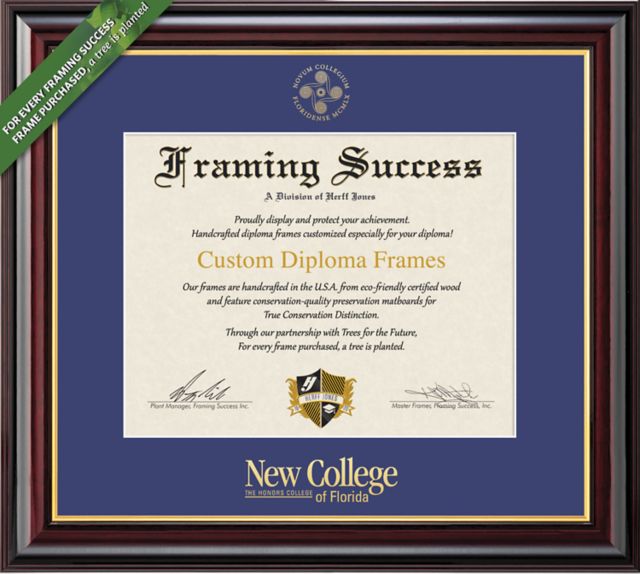 Framing Success Windsor 7 x 9 Diploma with Single Mat - ONLINE ONLY