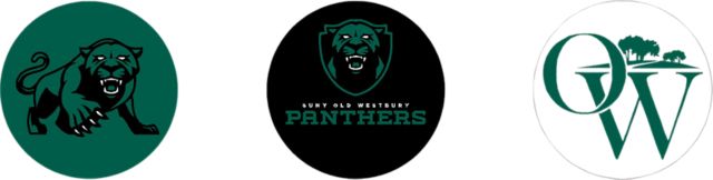 Old Westbury Panthers Mini Button - 3 Pack