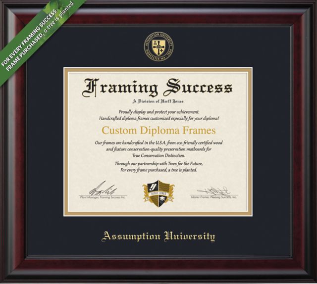 Assumption University Classic 11 x 14 Diploma Frame
