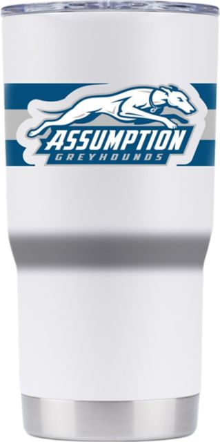 Assumption University 20 oz. Vacuum Insulated Striped Tumbler