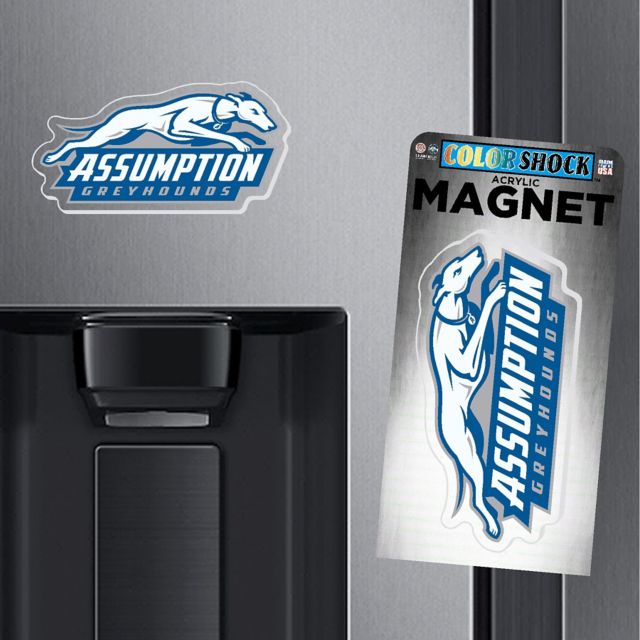 Assumption University Greyhounds 7" Magnet