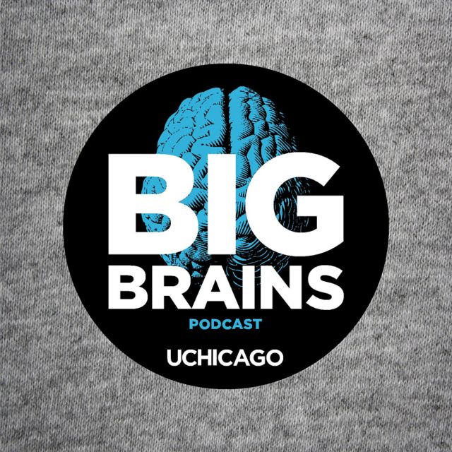 The University of Chicago Big Brains Podcast Button