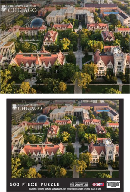 The University of Chicago Campus Puzzle