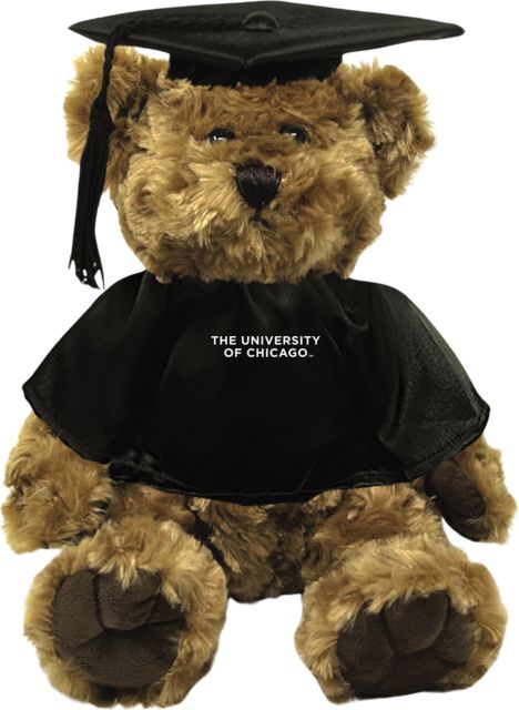 The University of Chicago Graduation Bear