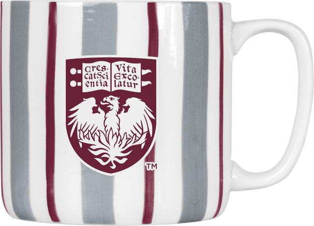 The University of Chicago 16 oz. Mug